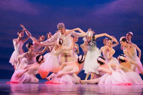 大年初一重磅开票 | 舞剧《朱鹮》杭州站唯美钜献，一场东方美学的诗意巡礼